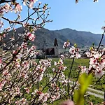 Ferienhaus Gansbach Gansbach