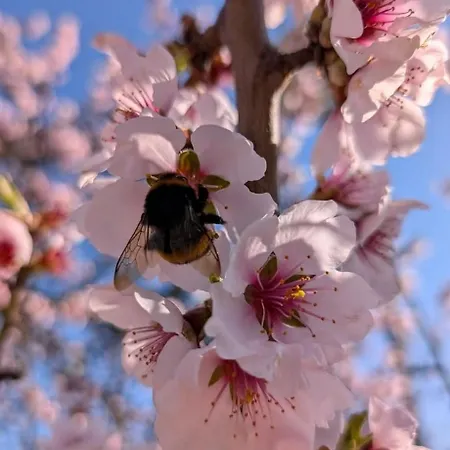 Prázdninový dům Ferienhaus Gansbach Gansbach