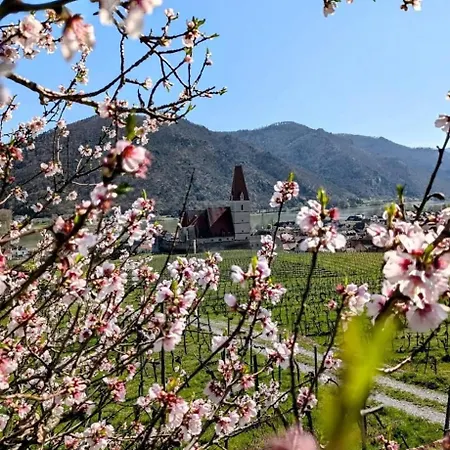 Ferienhaus Gansbach Gansbach