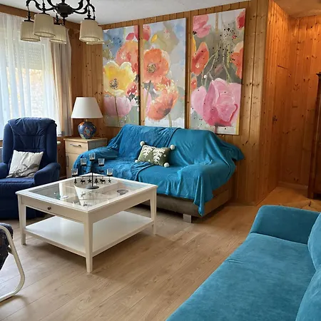 Ferienhaus Gansbach Tatil Evi