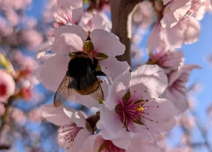 Semesterbostad Ferienhaus Gansbach Gansbach