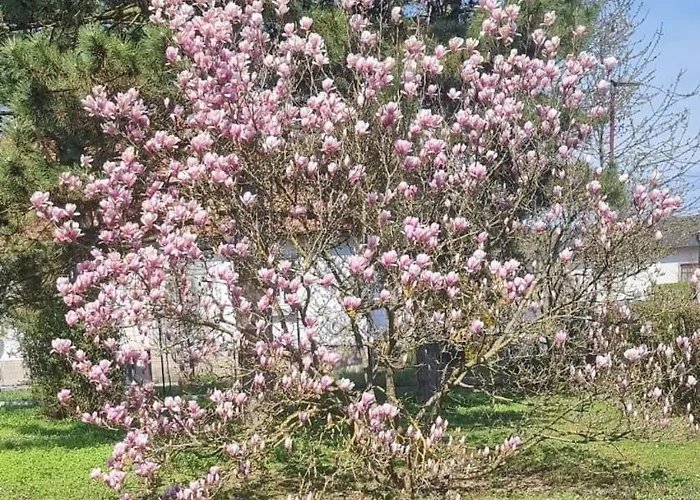 Ferienhaus Gansbach Tatil Evi Gansbach