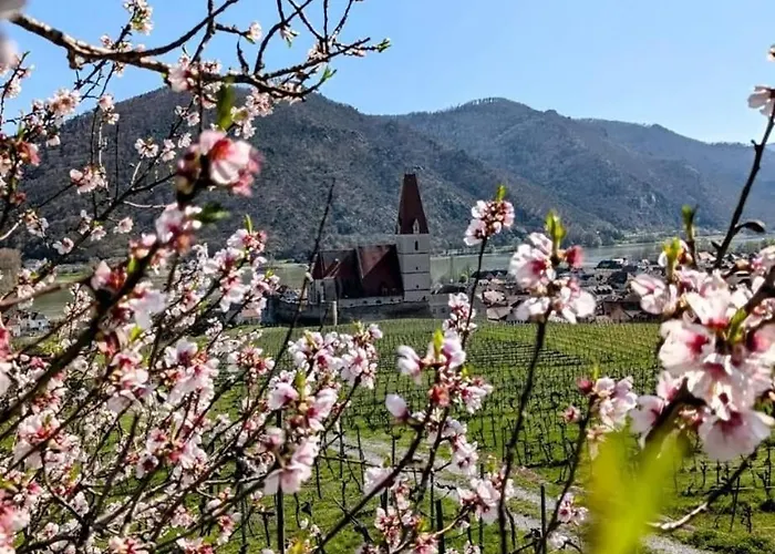 Ferienhaus Gansbach Gansbach