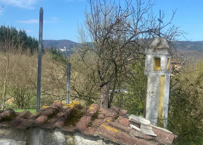 Tatil Evi Ferienhaus Gansbach *