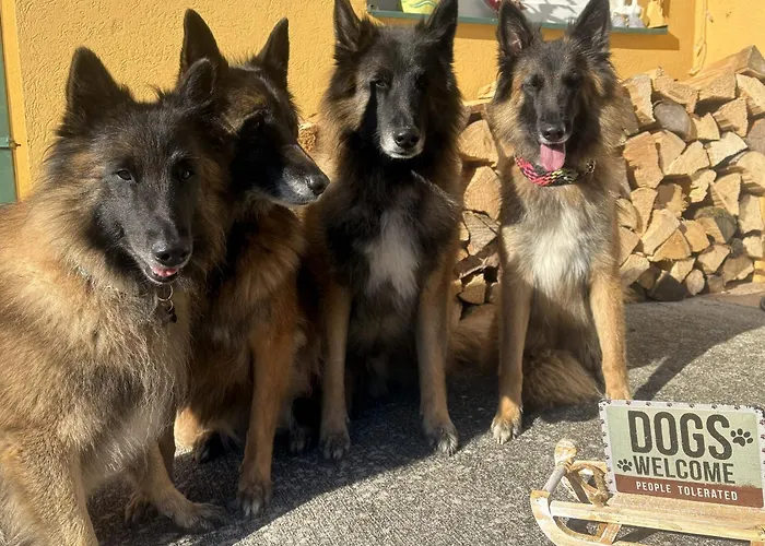 Ferienhaus Gansbach *