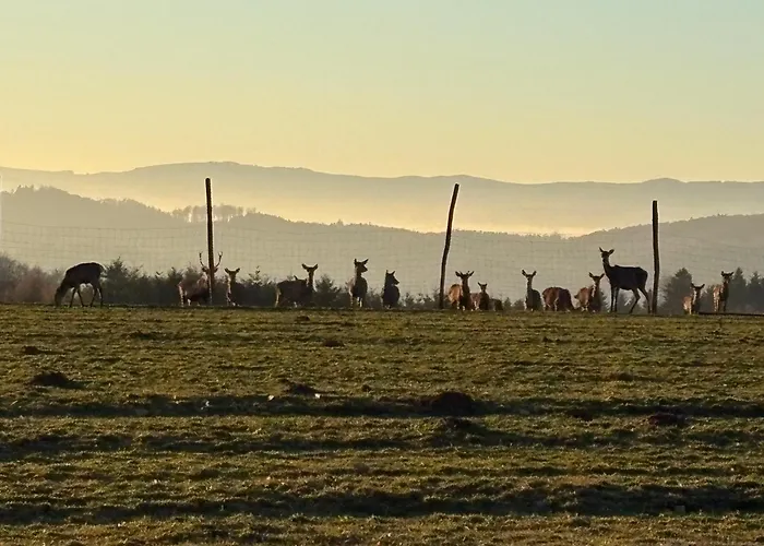 Semesterbostad Ferienhaus Gansbach